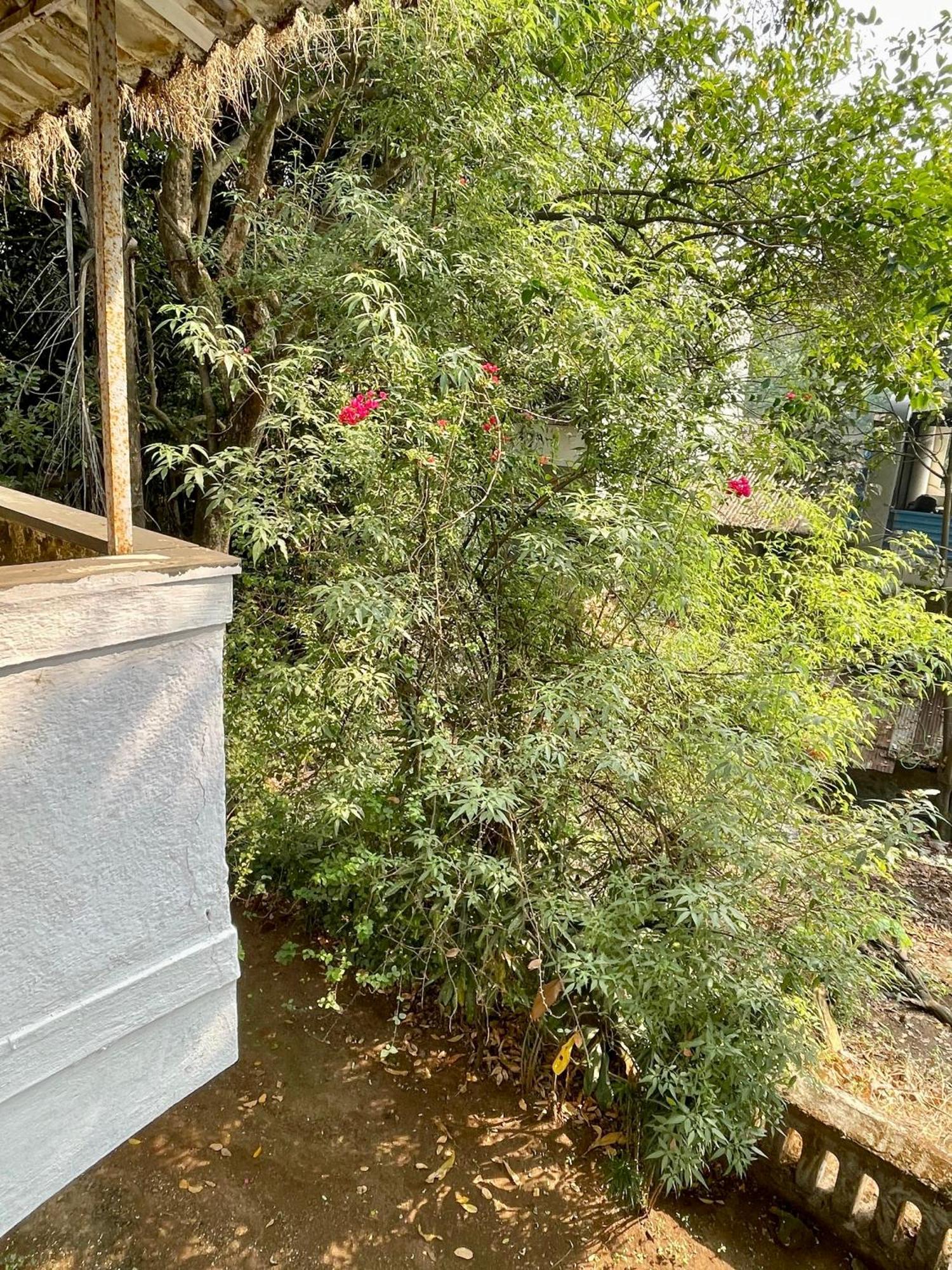 The Imperial Heritage II 2 Minutes From Station And Market II Deluxe Ac Rooms II Lonavala Exterior foto